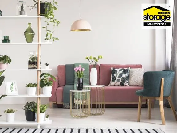 decoracion de espacios con plantas 